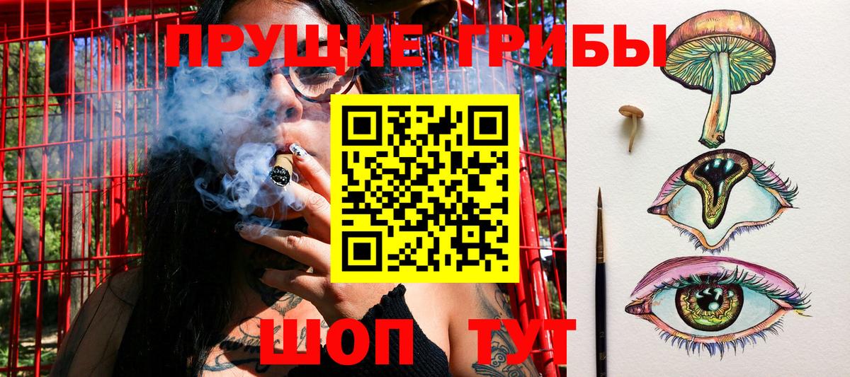 Орск  Псилоцибиновые грибы GOLDEN TEACHER  Вход с VPN  Псилоцибиновые грибы Psilocybine cubensis 