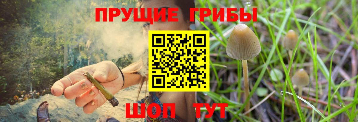 Псилоцибиновые грибы мицелий Орск